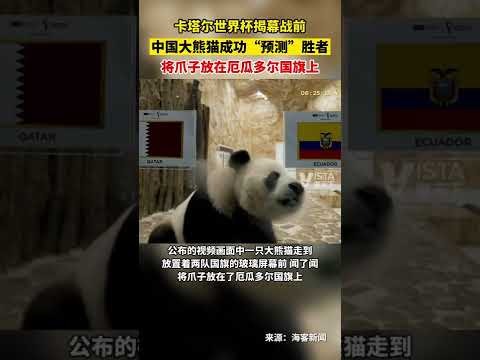 羽超联赛,王昶黄雅琼,首度搭档,澳客体育,澳客体育比分,澳客体育赛事,澳客体育分析,澳客体育预测,澳客体育数据