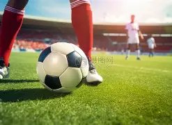 官方确认,德约科维奇,将参赛印第,澳客体育,澳客体育比分,澳客体育赛事,澳客体育分析,澳客体育预测,澳客体育数据