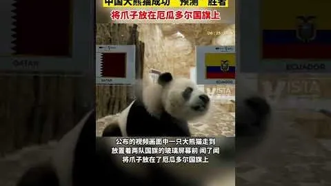 羽超联赛：王昶黄雅琼首度搭档，辟谣“梁王”重组流言