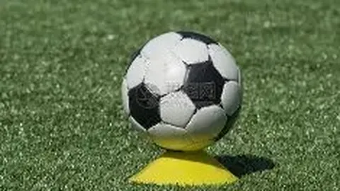 国乒男单遭遇连败，陈幸同与早田希娜仁川赛各赢两局